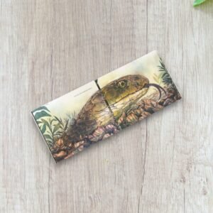 Ajay of Agumbe and the Signal Snake