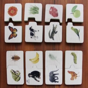 Animals & their Feed