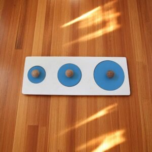 Circle Seriation Puzzle