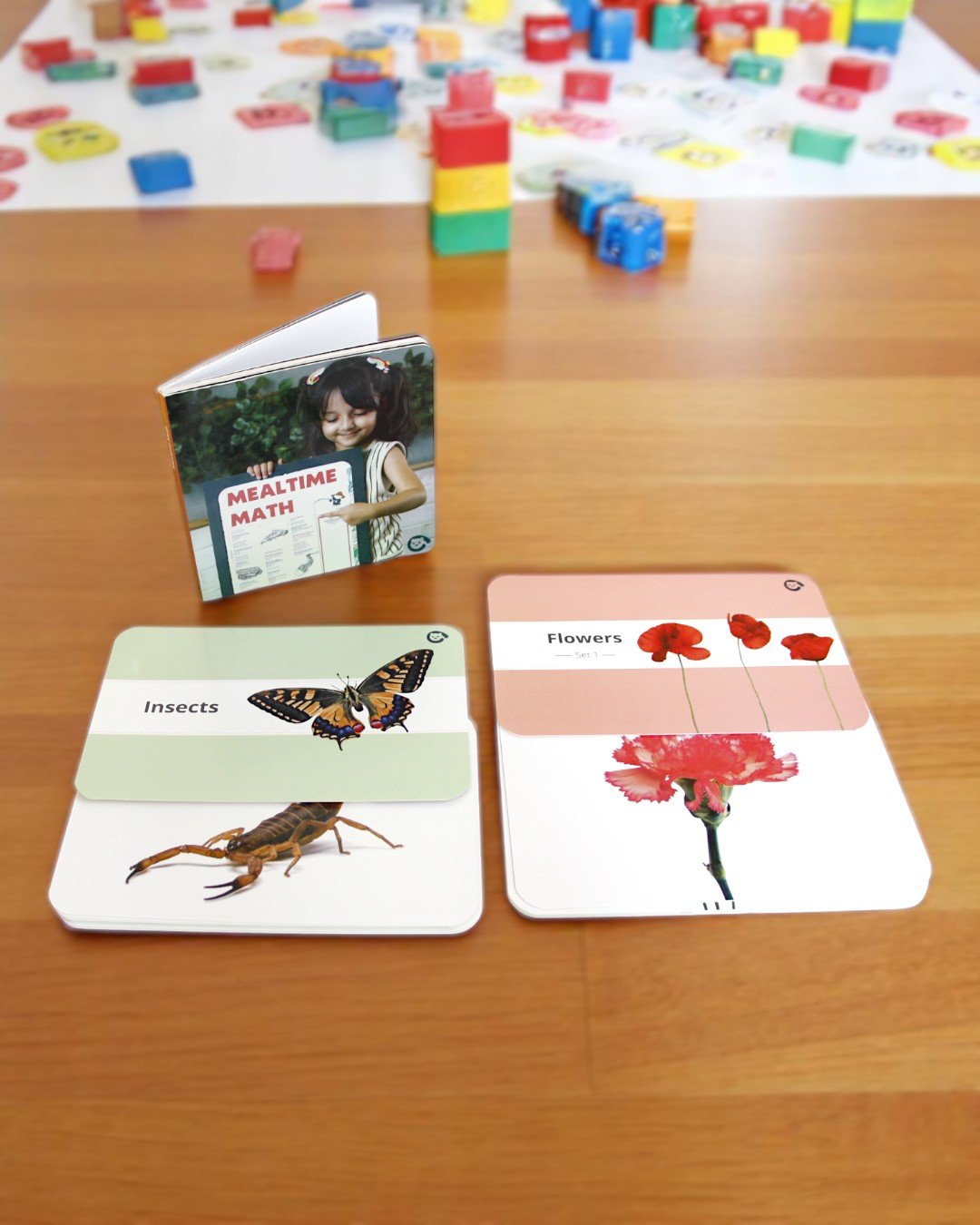 Curious Cub – Level 8 - Image 4