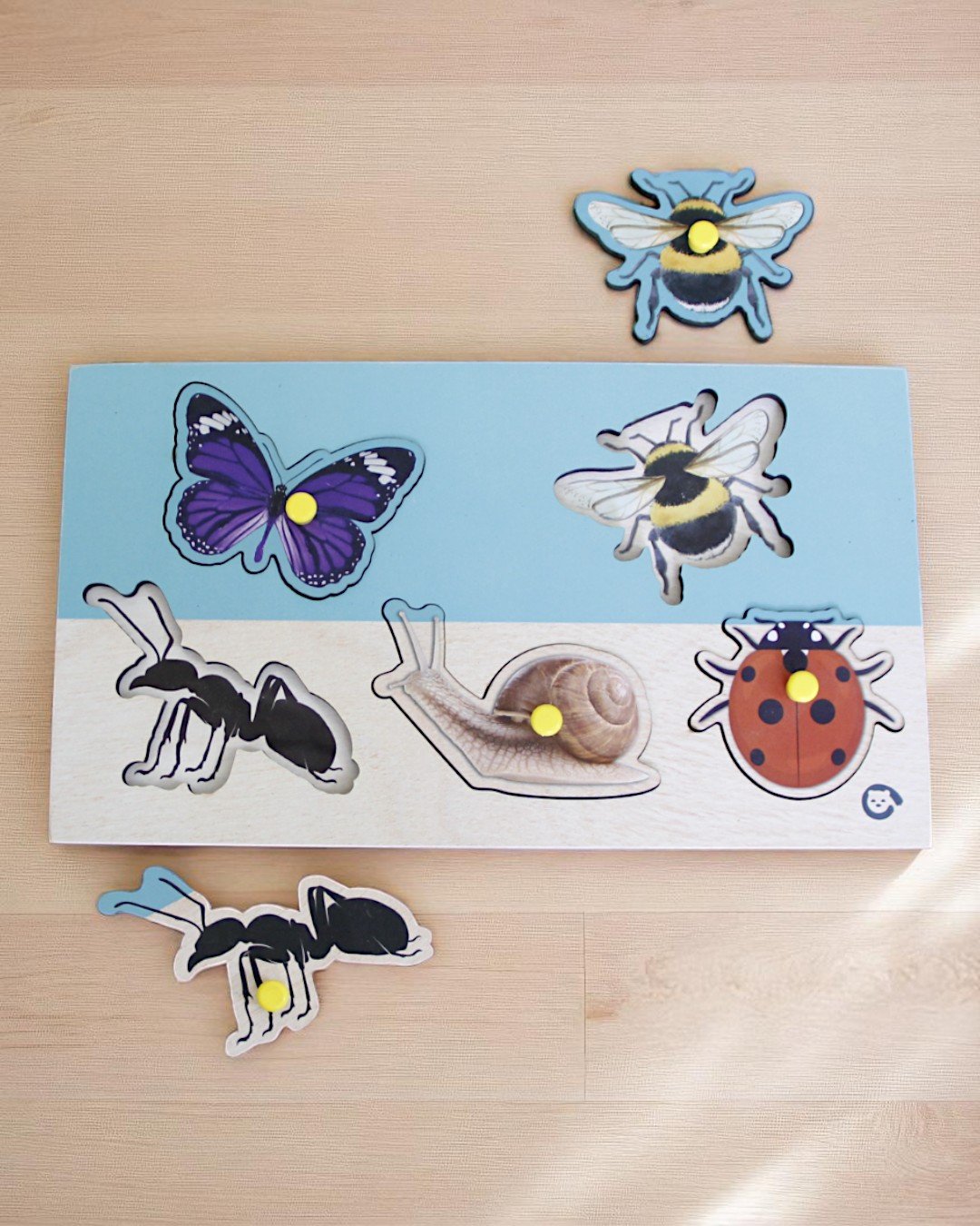 Curious Cub – Level 8 - Image 3