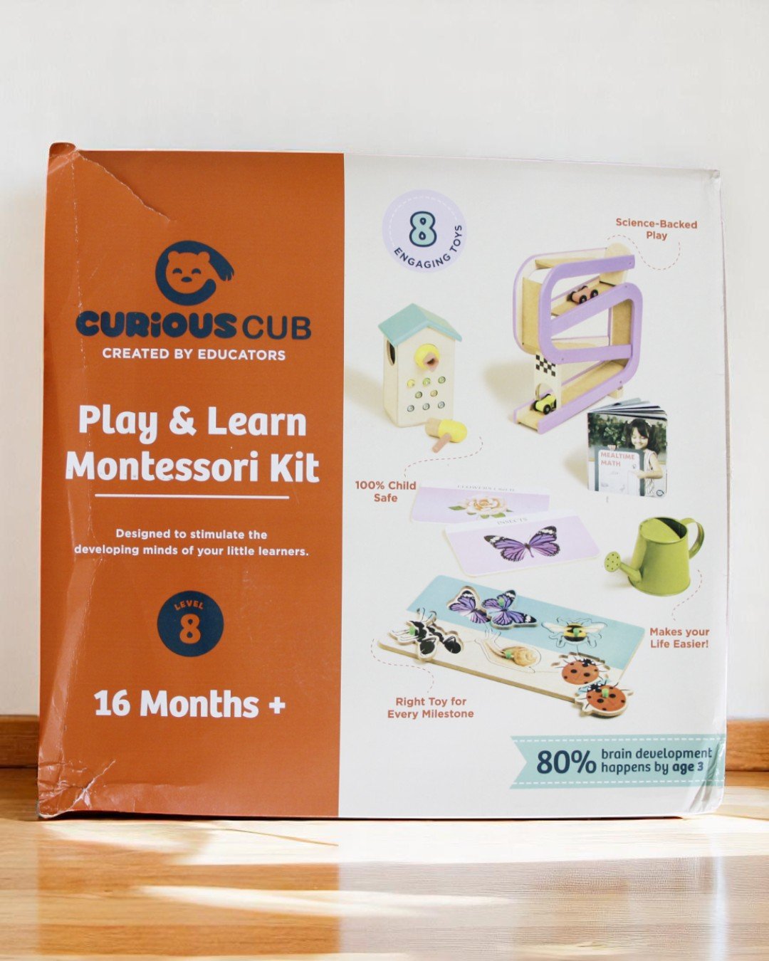 Curious Cub – Level 8 - Image 2