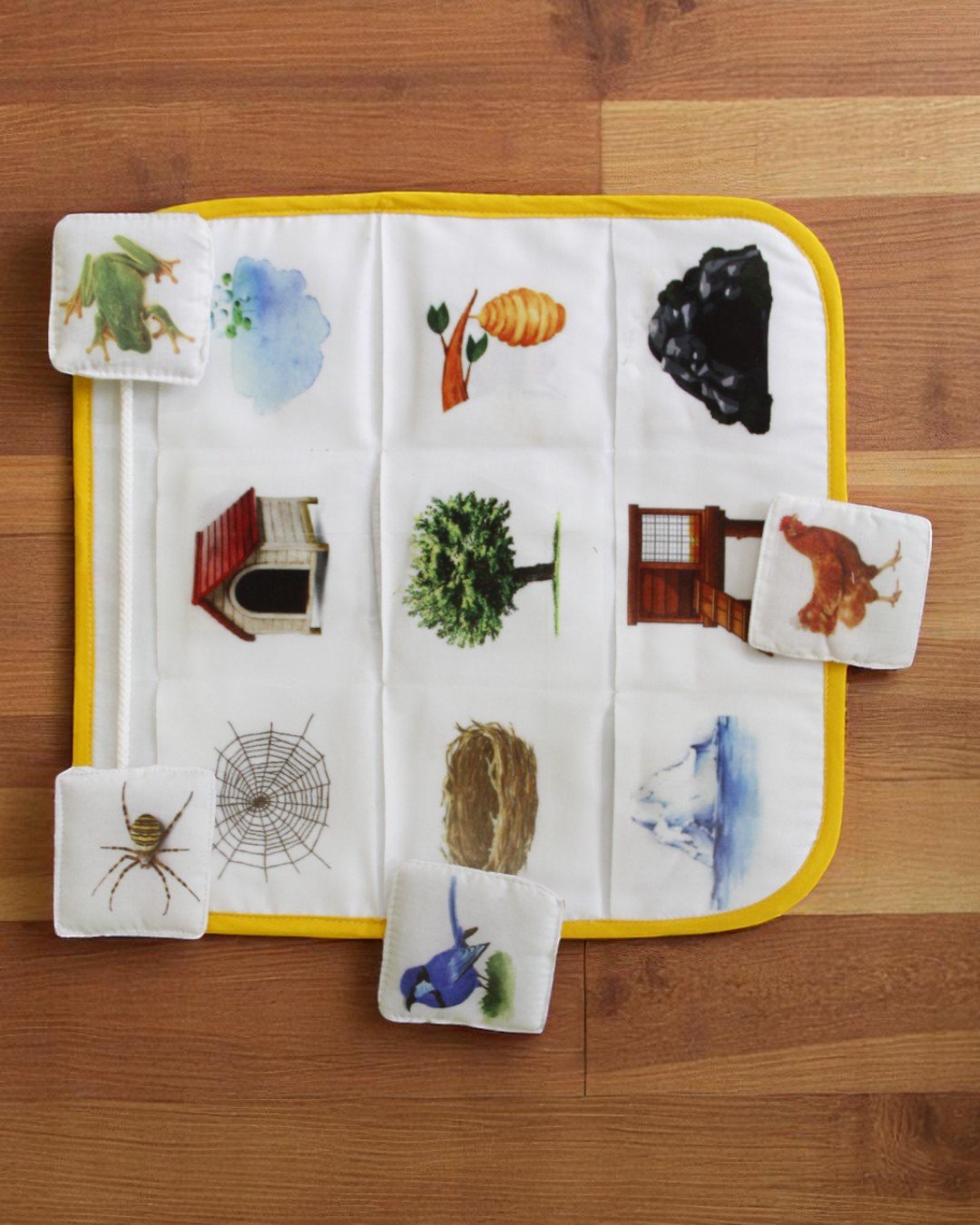 Curious Cub – Level 10 - Image 8