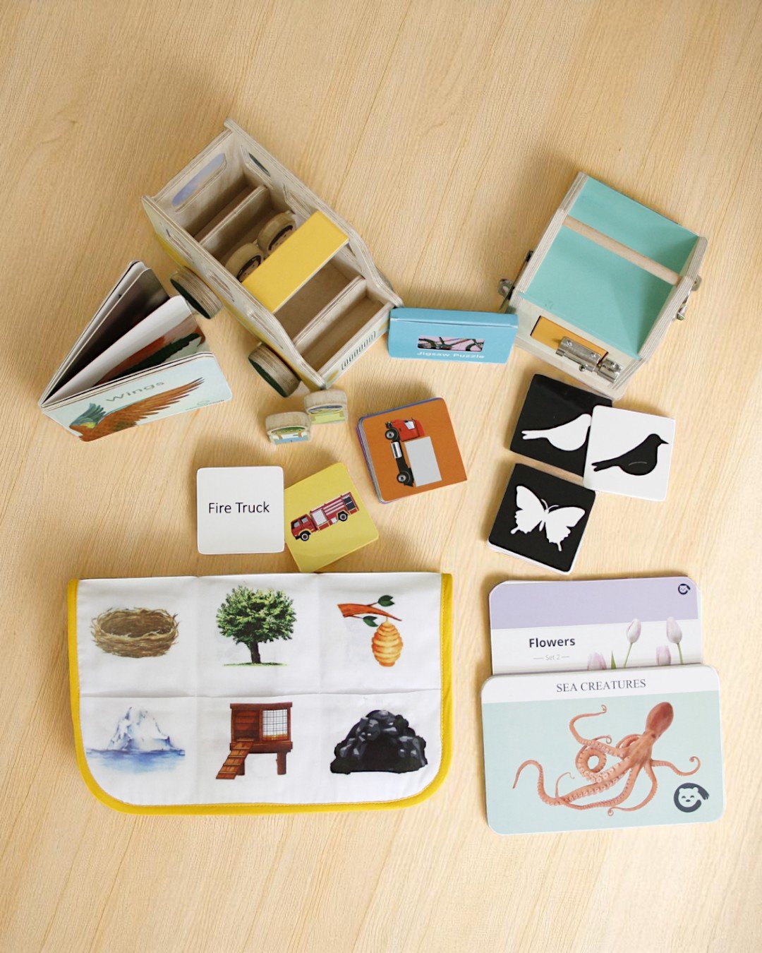 Curious Cub – Level 10 - Image 4