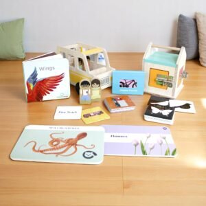 Curious Cub – Level 10