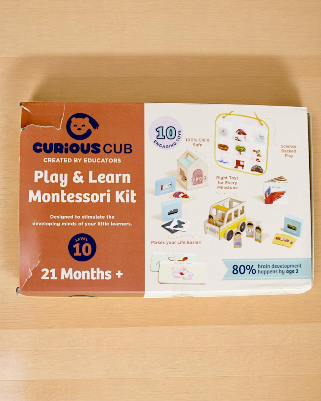 Curious Cub – Level 10 - Image 3