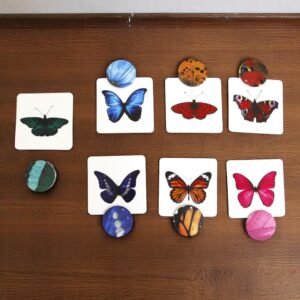 Curious Cub – Level 12