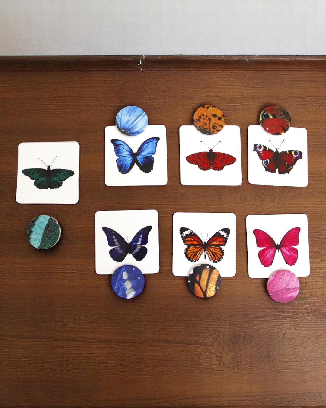 Curious Cub – Level 12 - Image 2