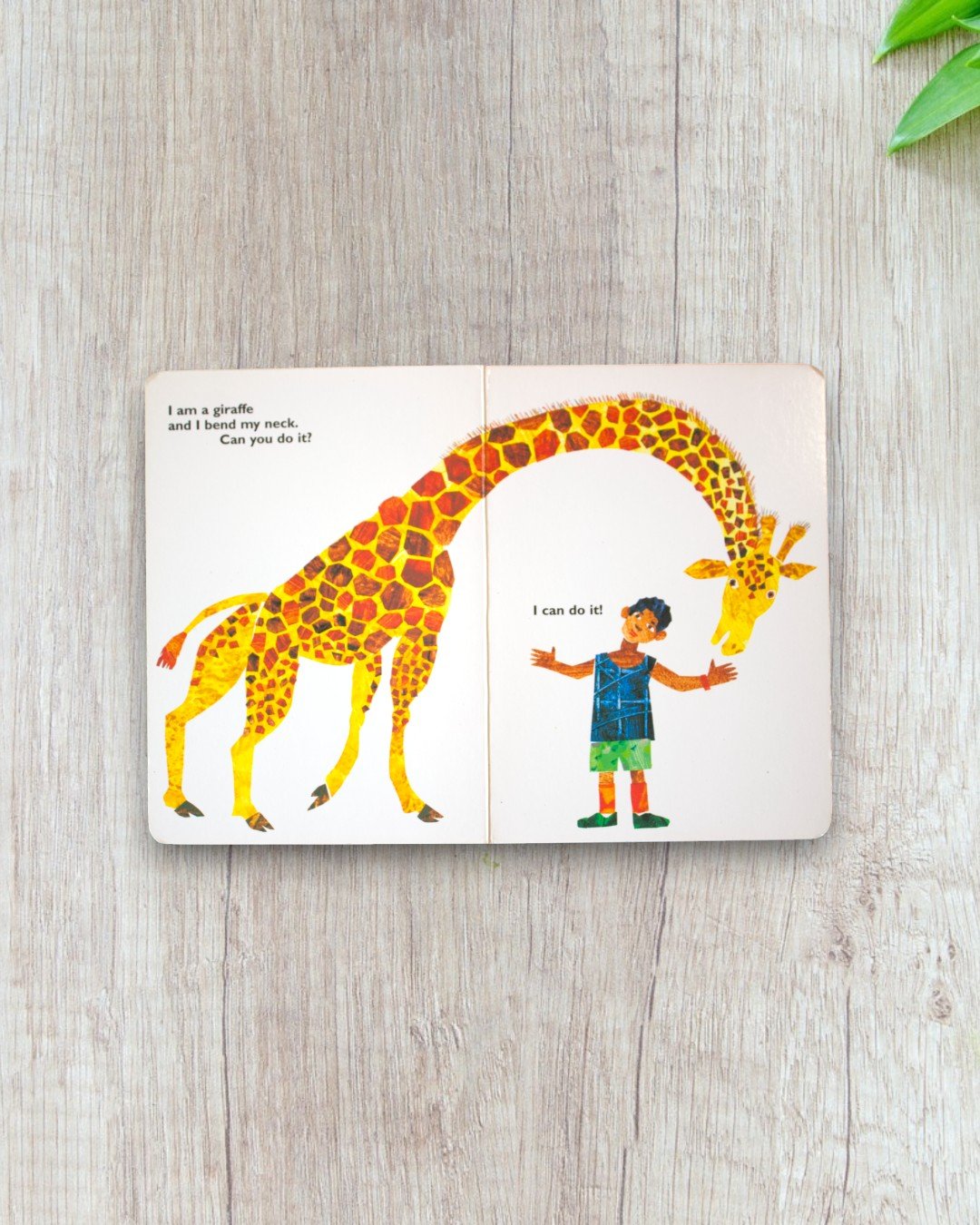 From Head to Toe - Image 2