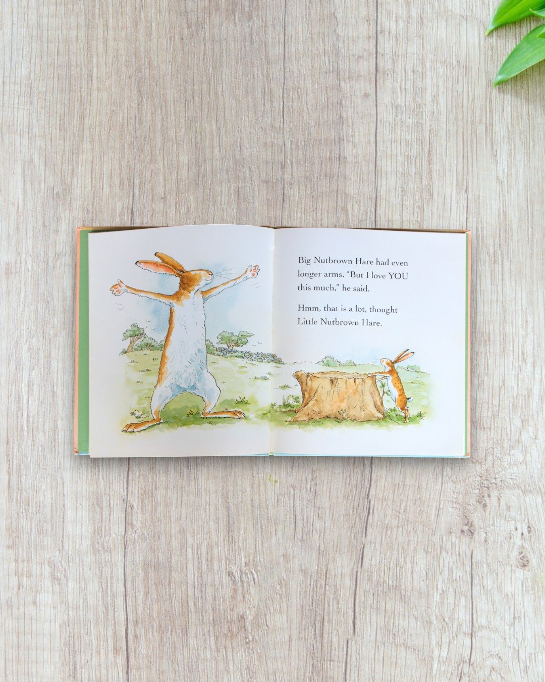 Guess How much I love you - Image 2