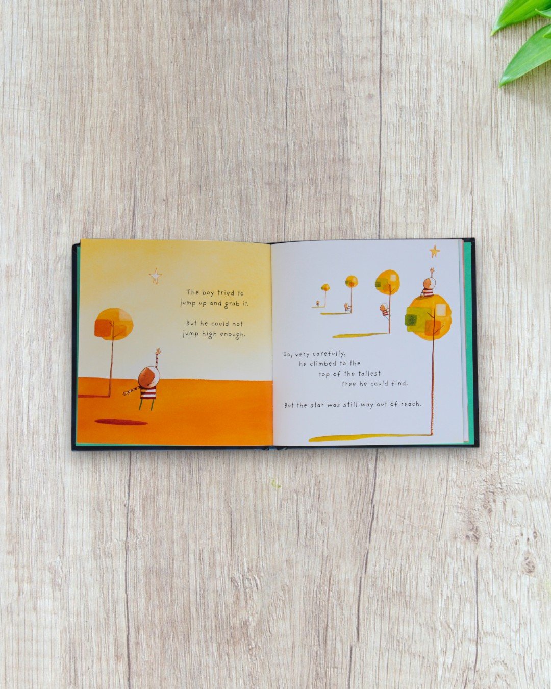 How to Catch a Star - Image 2