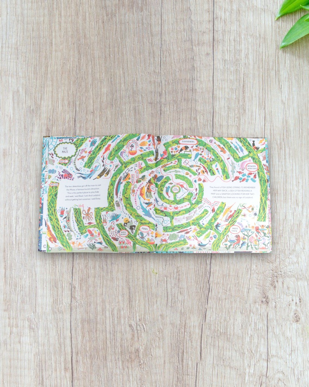 Look for Ladybird in Ocean City - Image 2