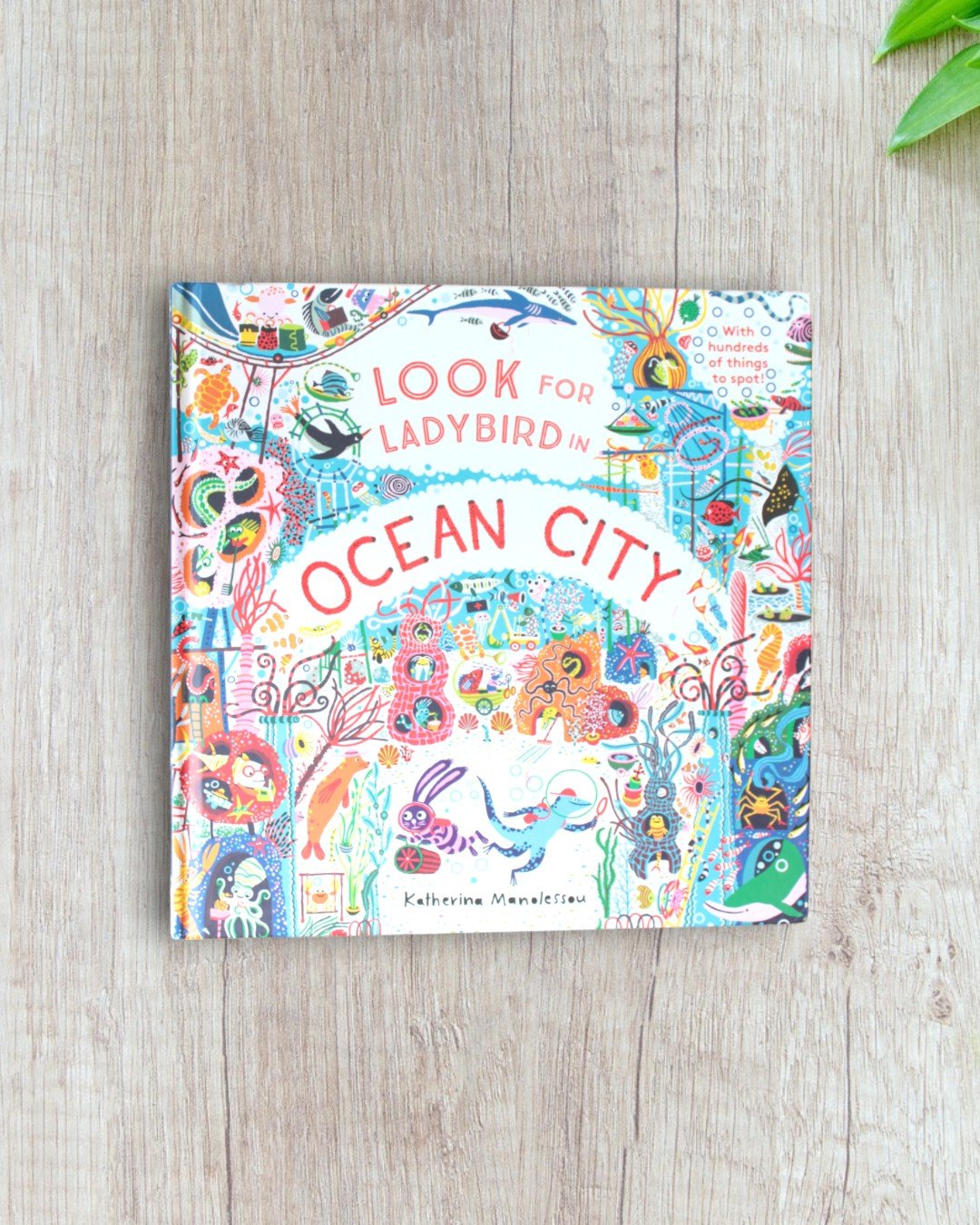 Look for Ladybird in Ocean City