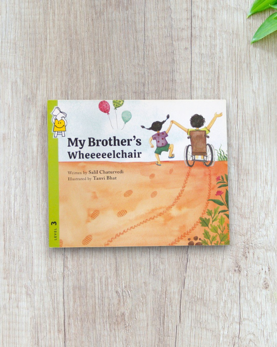 My Brother's Wheeelchair