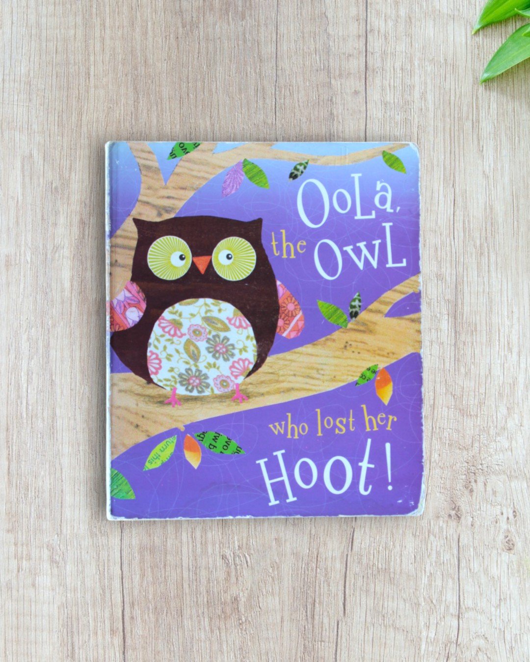 Oola The owl who lost her hoot