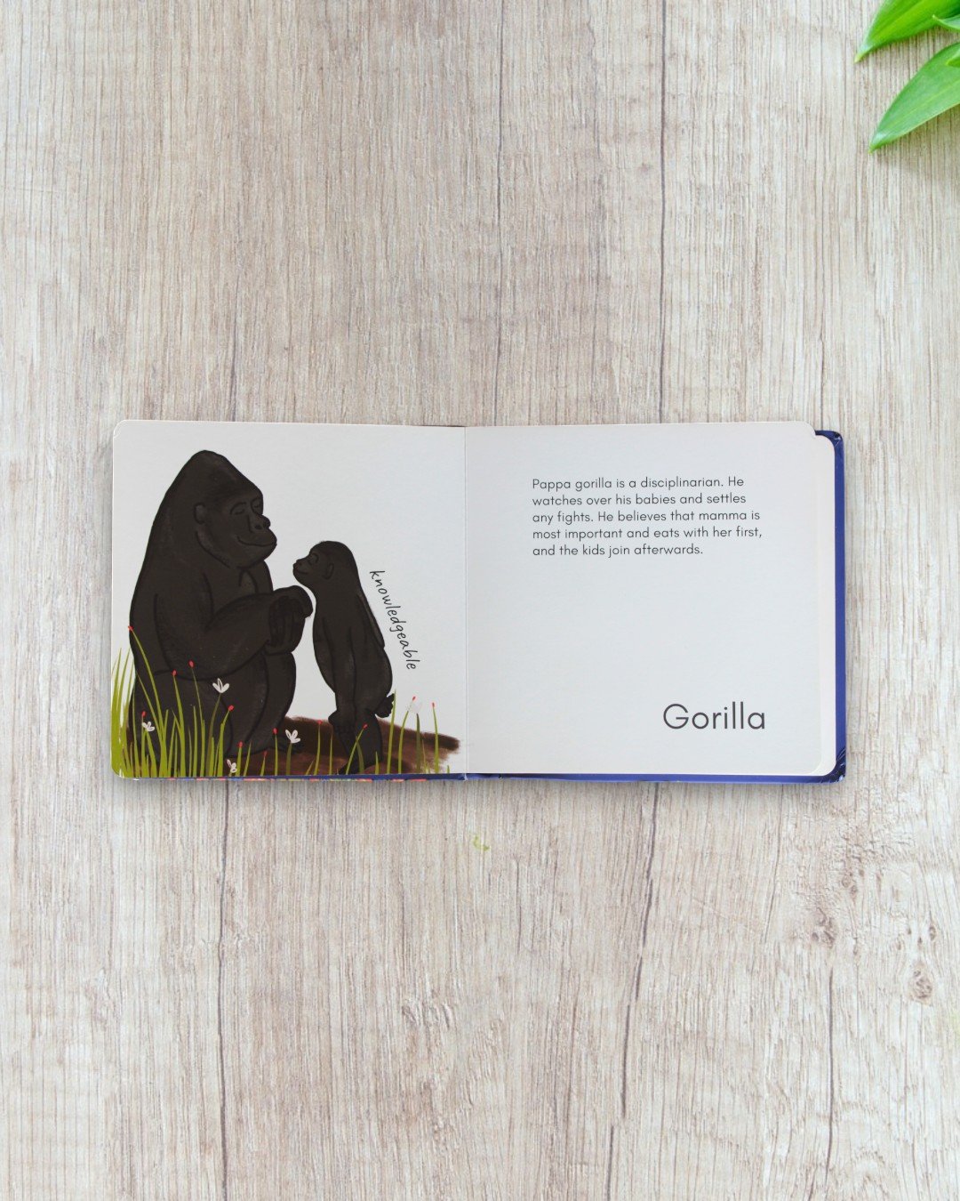 Pappas in the Wild - Image 2