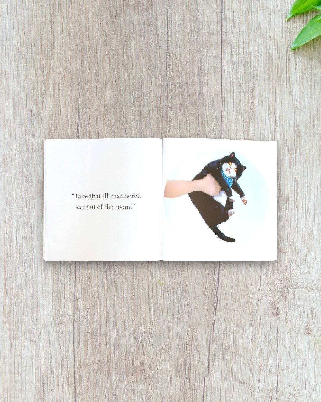 Tumford's Rude Noises - Image 2