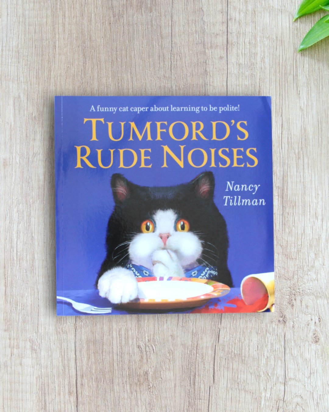 Tumford's Rude Noises
